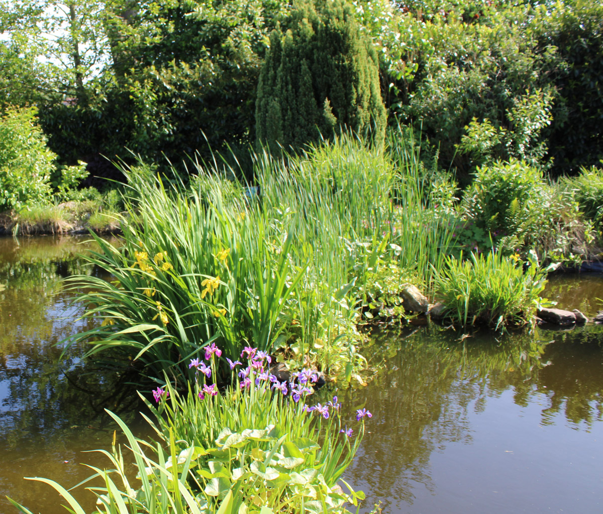 Artenvielfalt im Garten | NABU Rheiderland