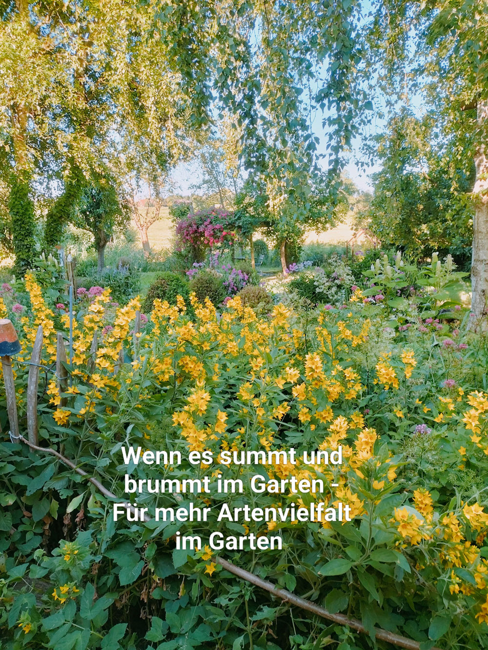 NABU: Bienenfreundlicher Garten