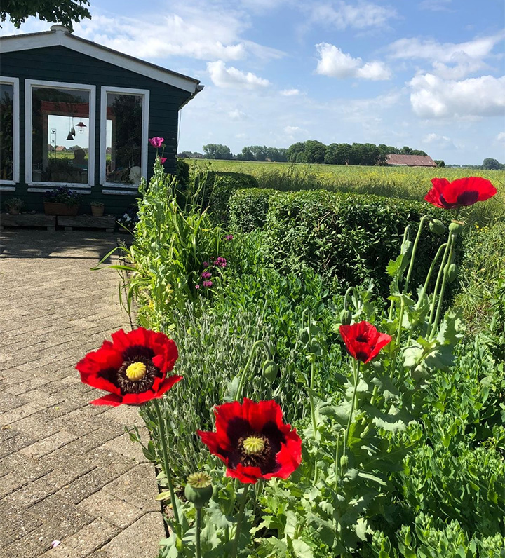 Pflanzenableger aus dem Bauerngarten