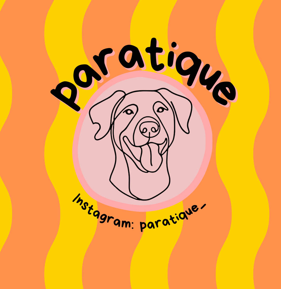  Individuelle Hundeleinen aus Paracord | Fabienne Lammers